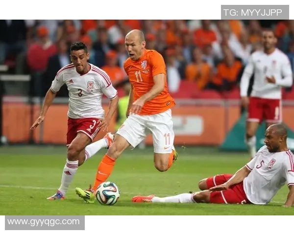 荷兰足球星光璀璨 崛起之路与全球足坛影响力全解析