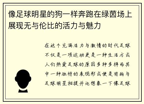 像足球明星的狗一样奔跑在绿茵场上展现无与伦比的活力与魅力