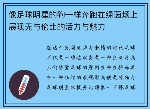像足球明星的狗一样奔跑在绿茵场上展现无与伦比的活力与魅力